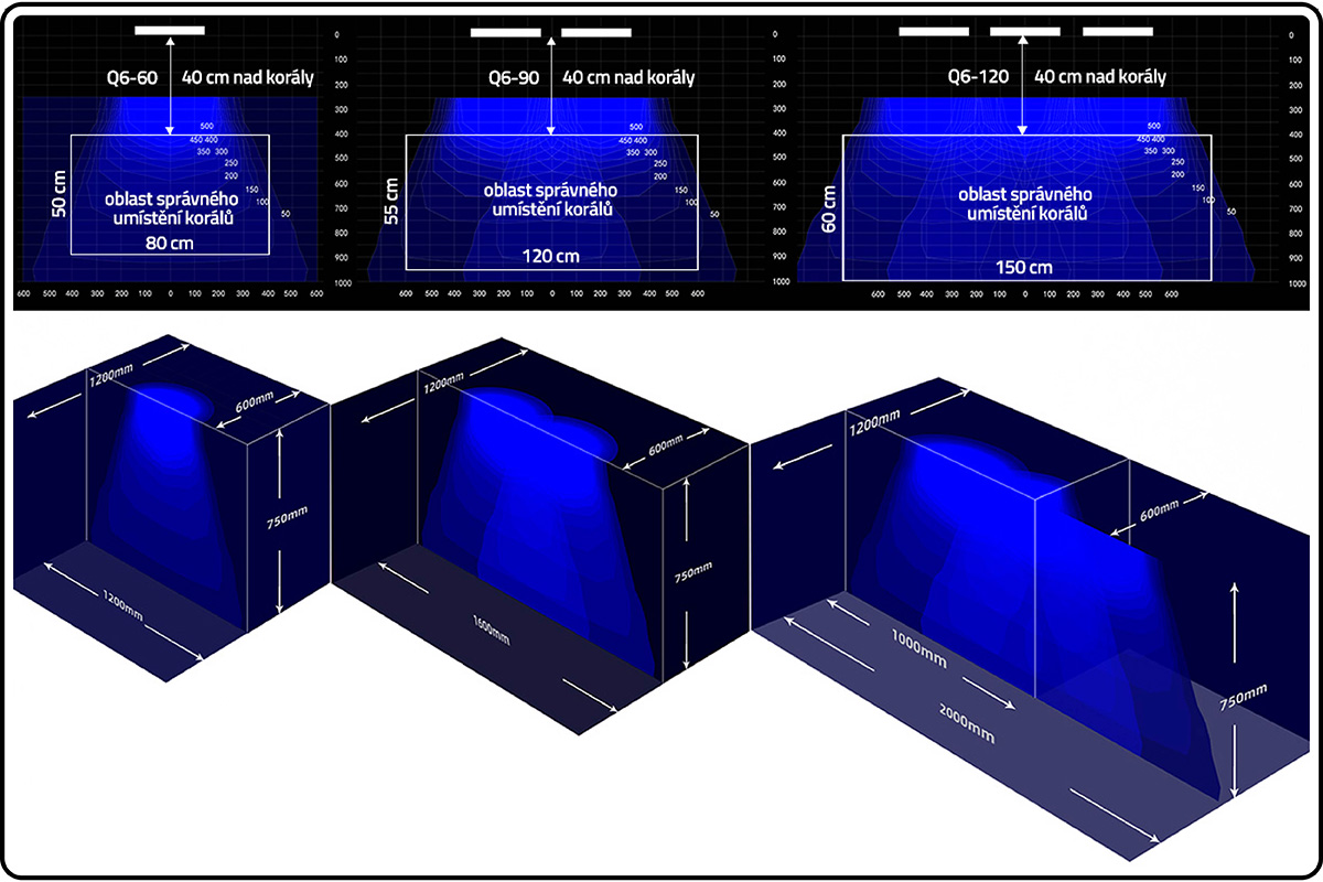 Zetlight Qmaven Q6 umisteni